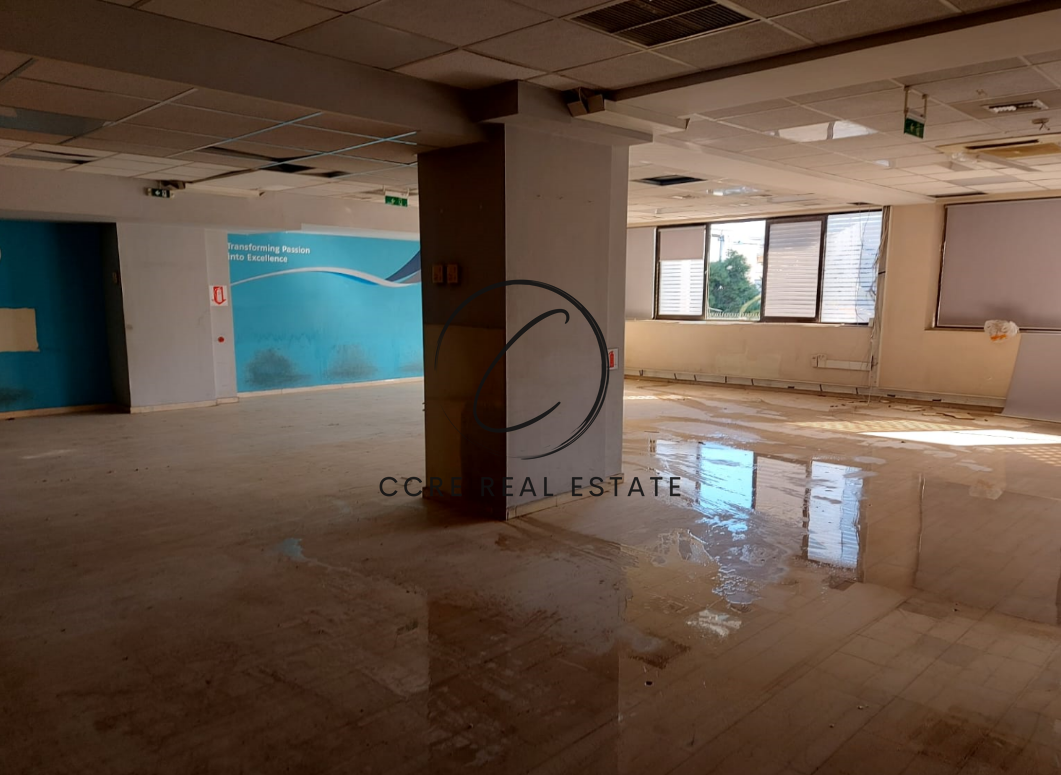 Gallery image 10