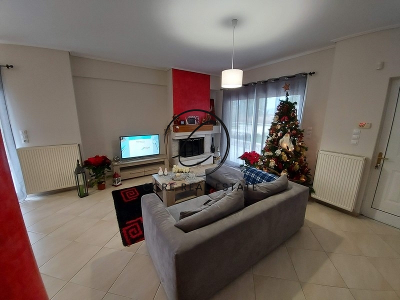 Gallery image 12