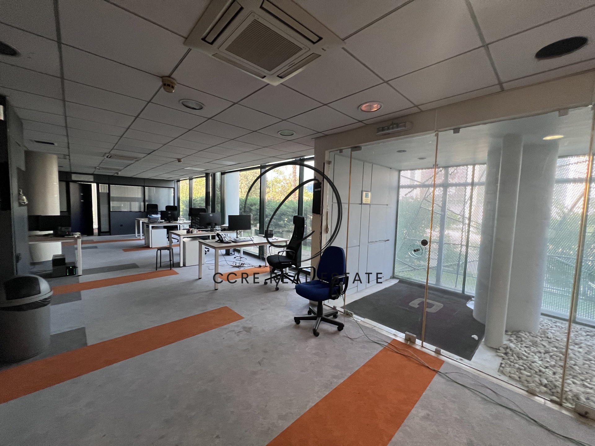 Gallery image 11