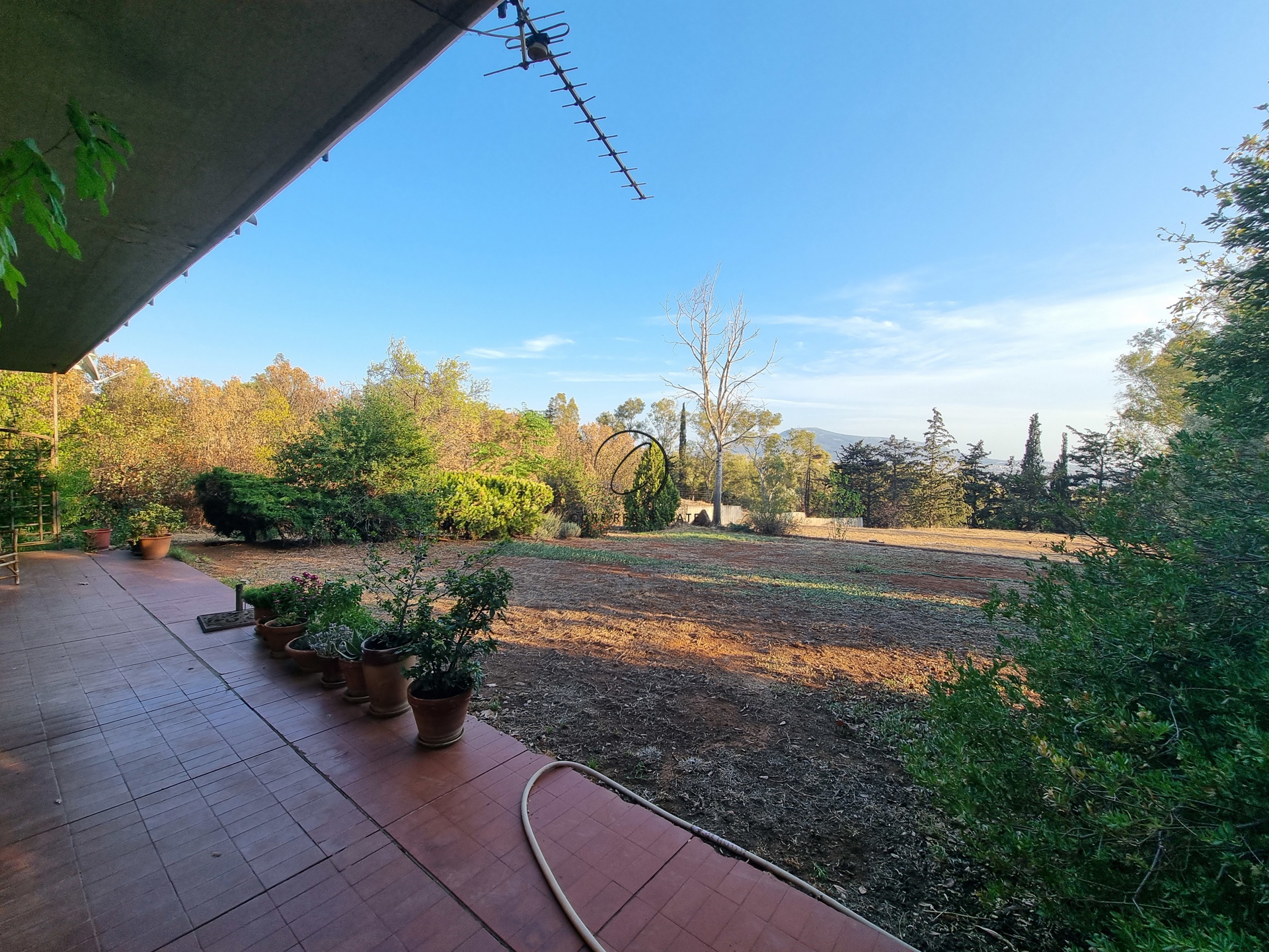 Gallery image 7