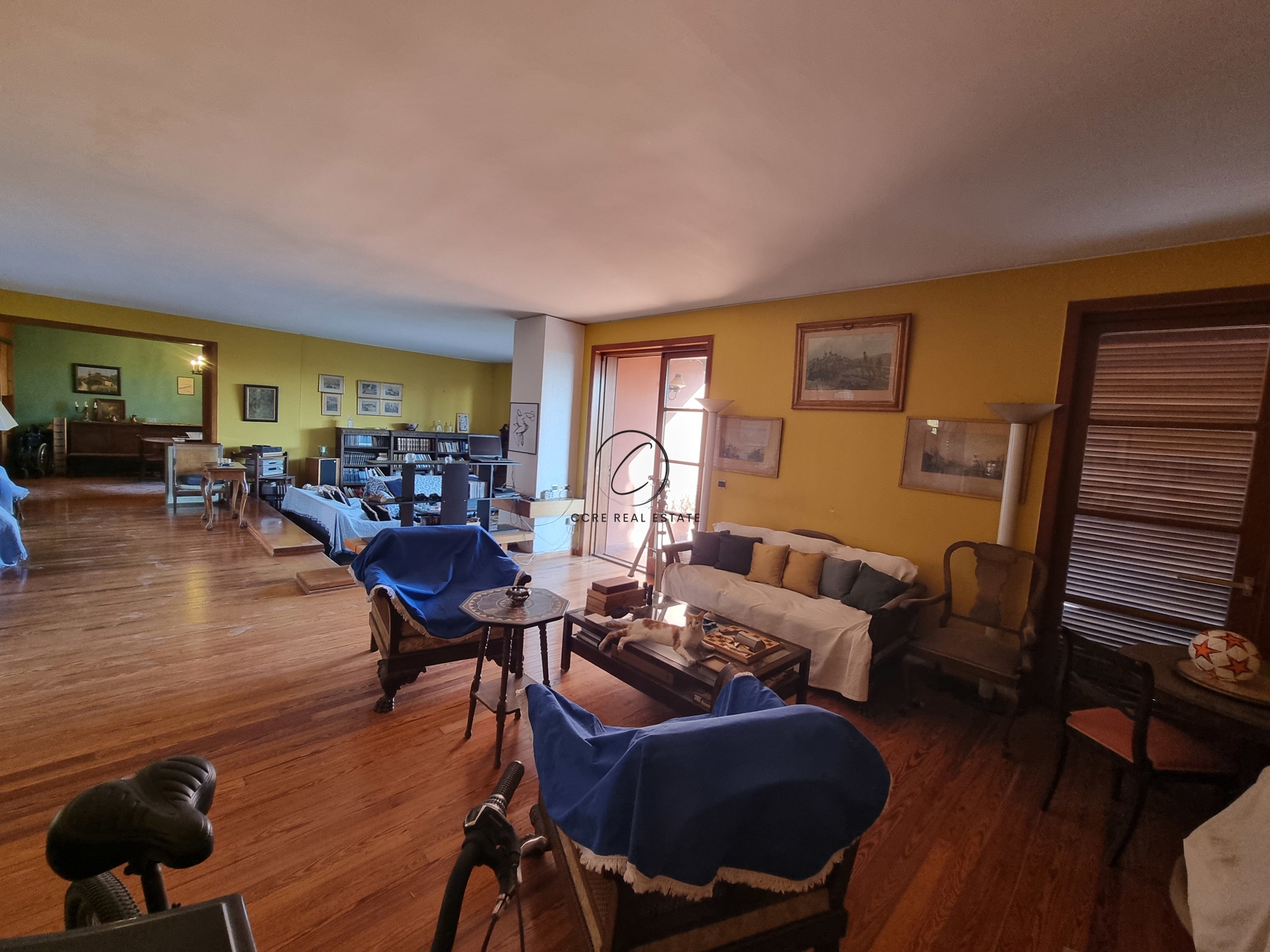 Gallery image 12