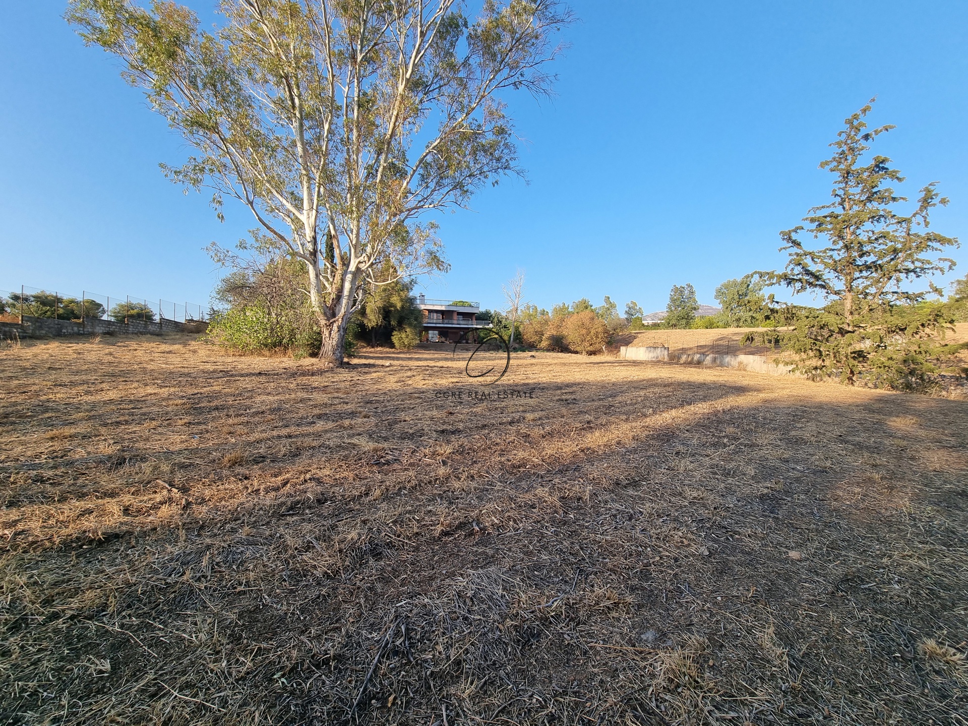 Gallery image 27