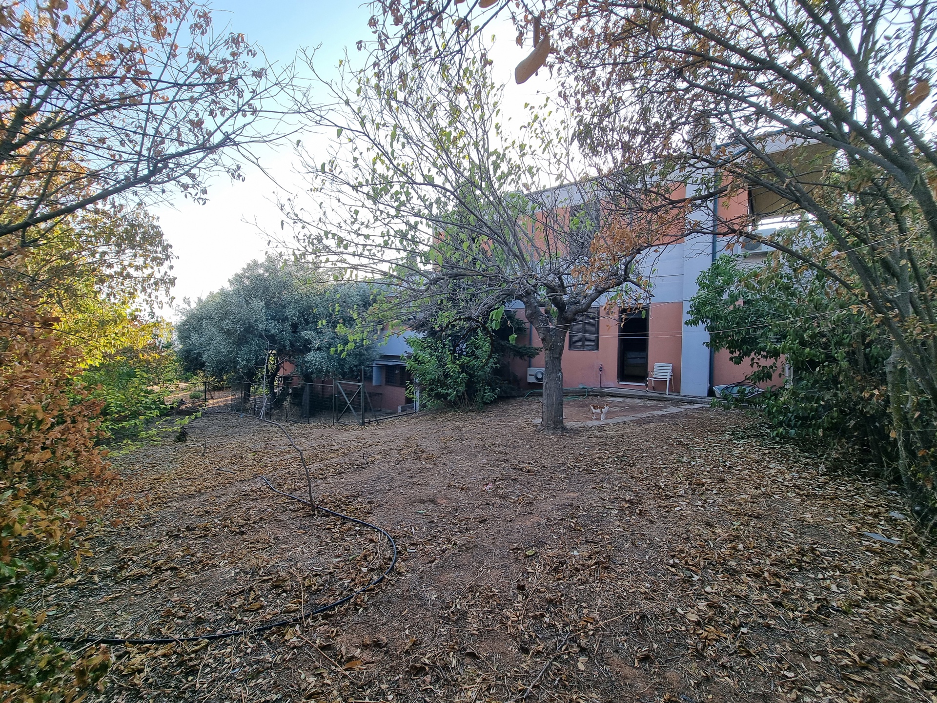 Gallery image 21
