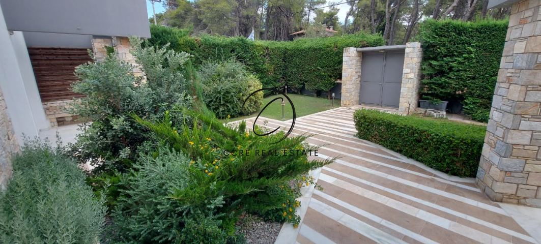 Gallery image 8
