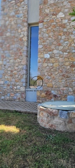Gallery image 24