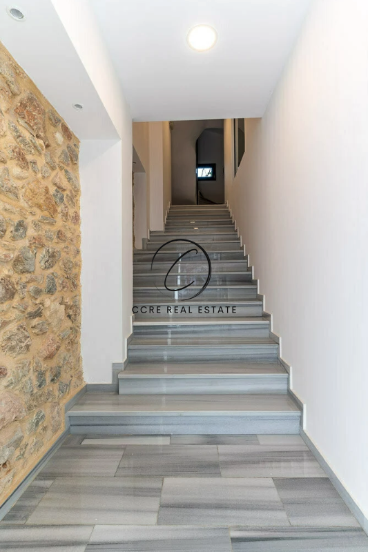Gallery image 12