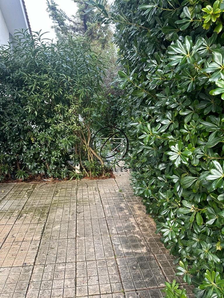 Gallery image 13