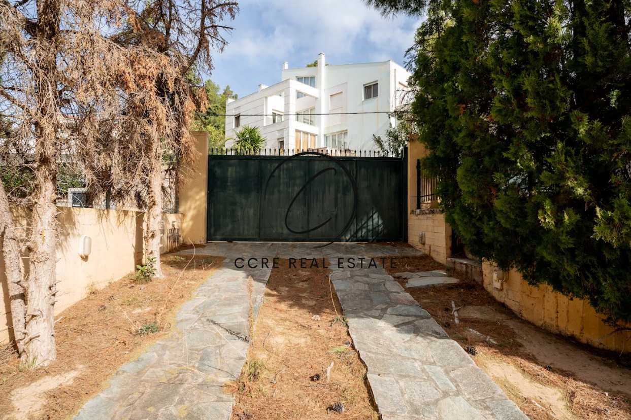Gallery image 30