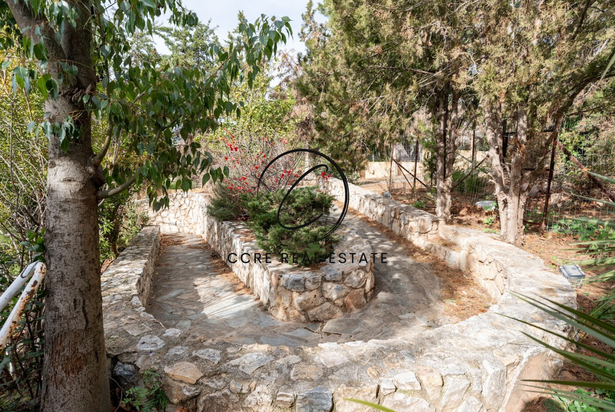 Gallery image 9