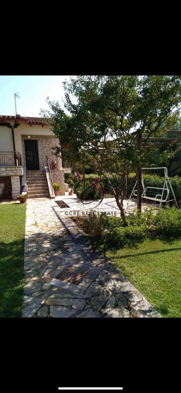 Gallery image 17