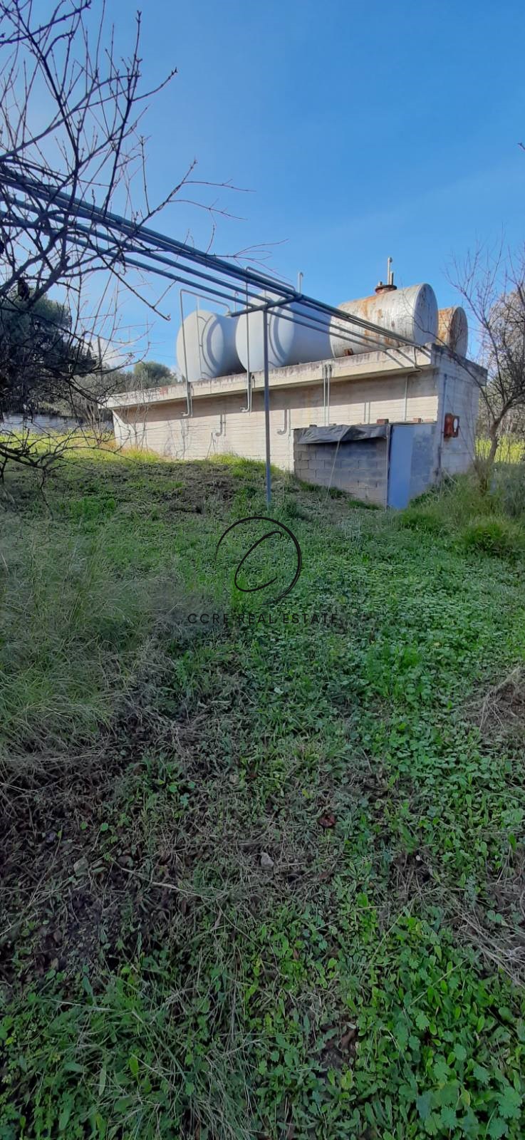 Gallery image 12