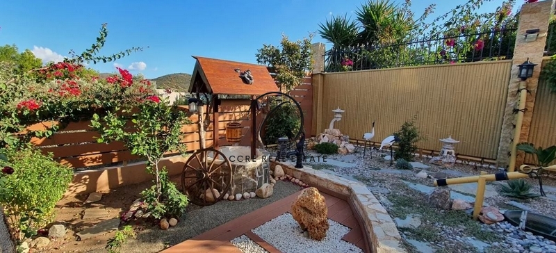 Gallery image 12