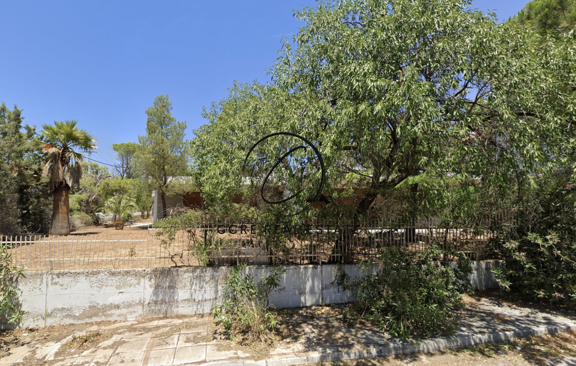 Gallery image 6