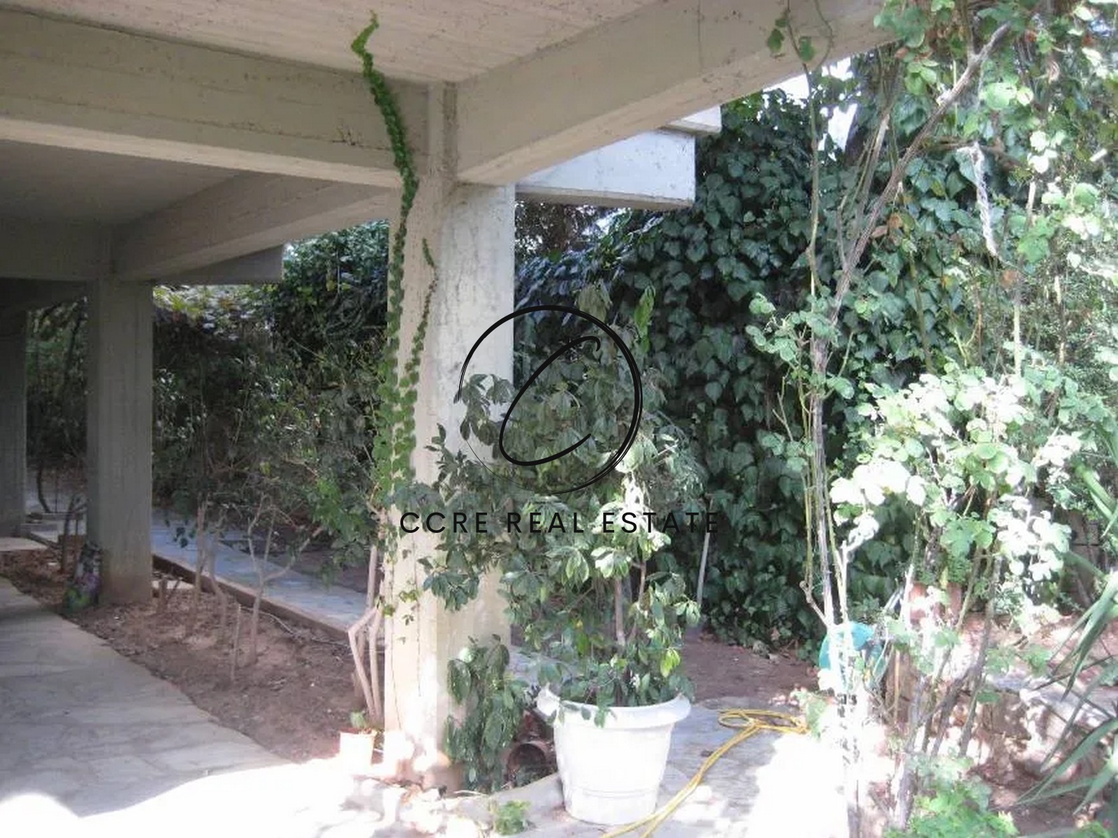 Gallery image 12