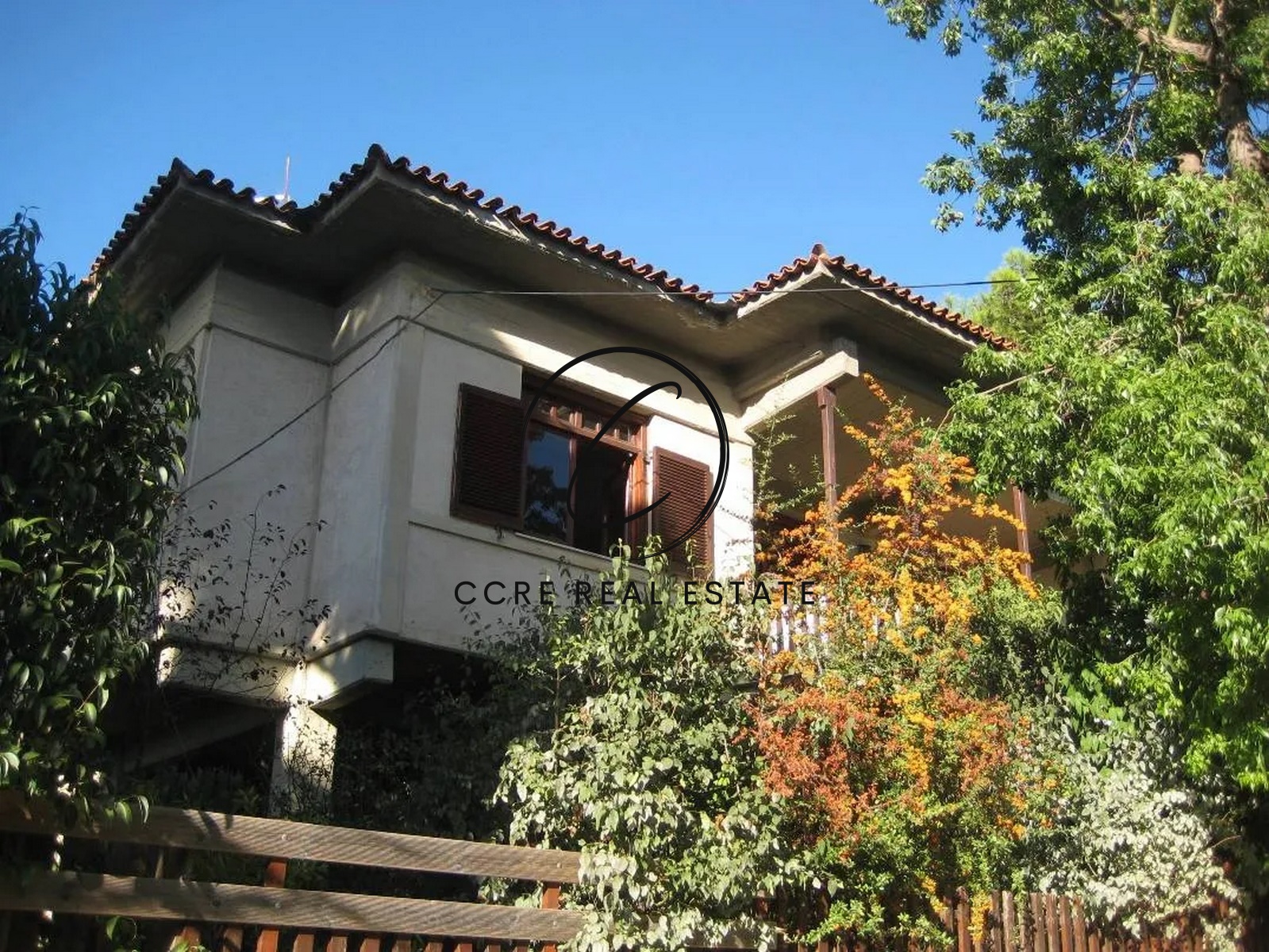 Gallery image 8