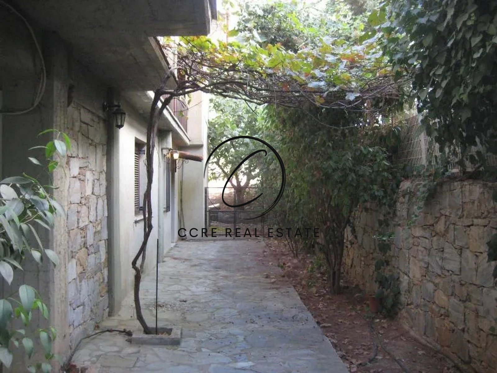Gallery image 9