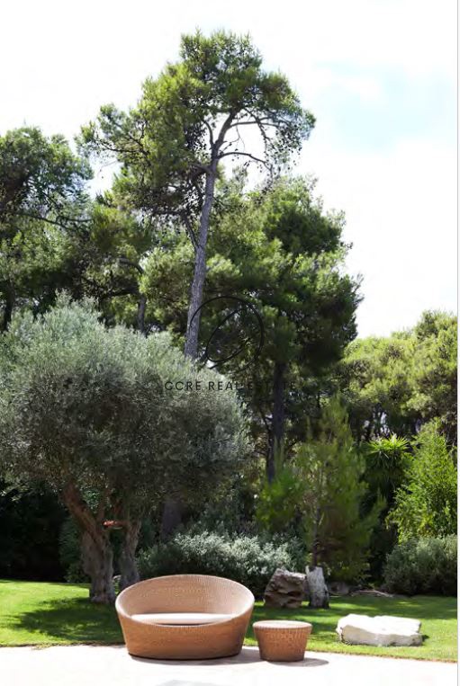 Gallery image 27