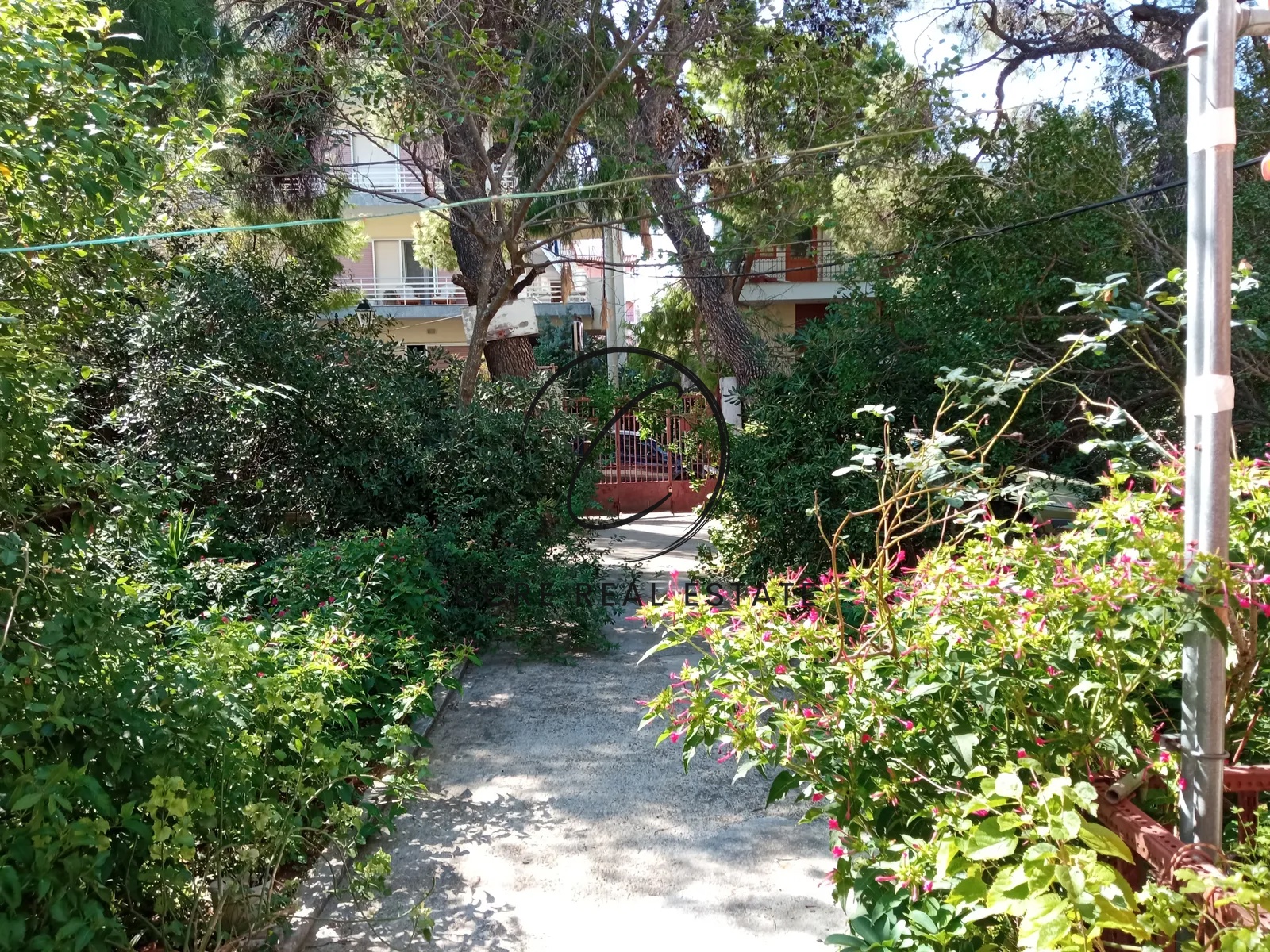 Gallery image 10