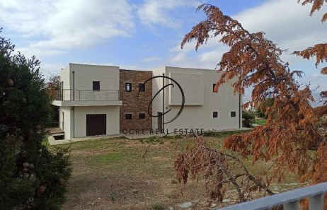 Gallery image 8