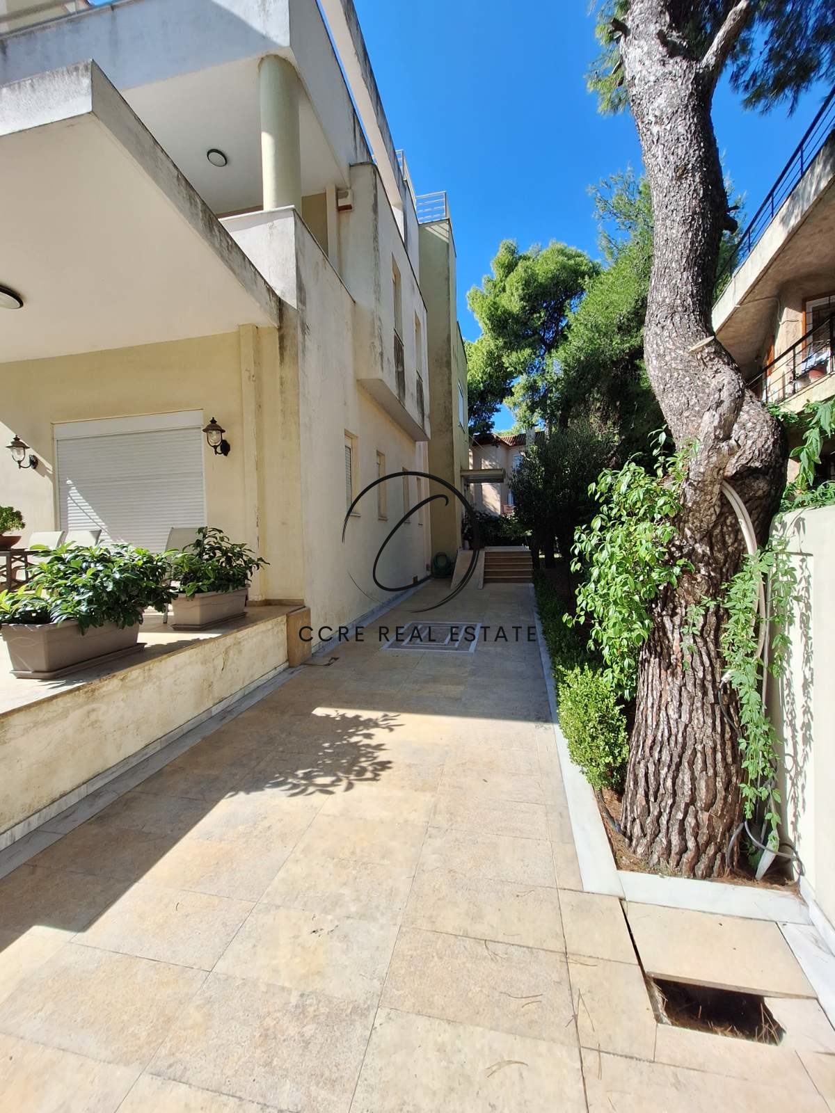 Gallery image 25