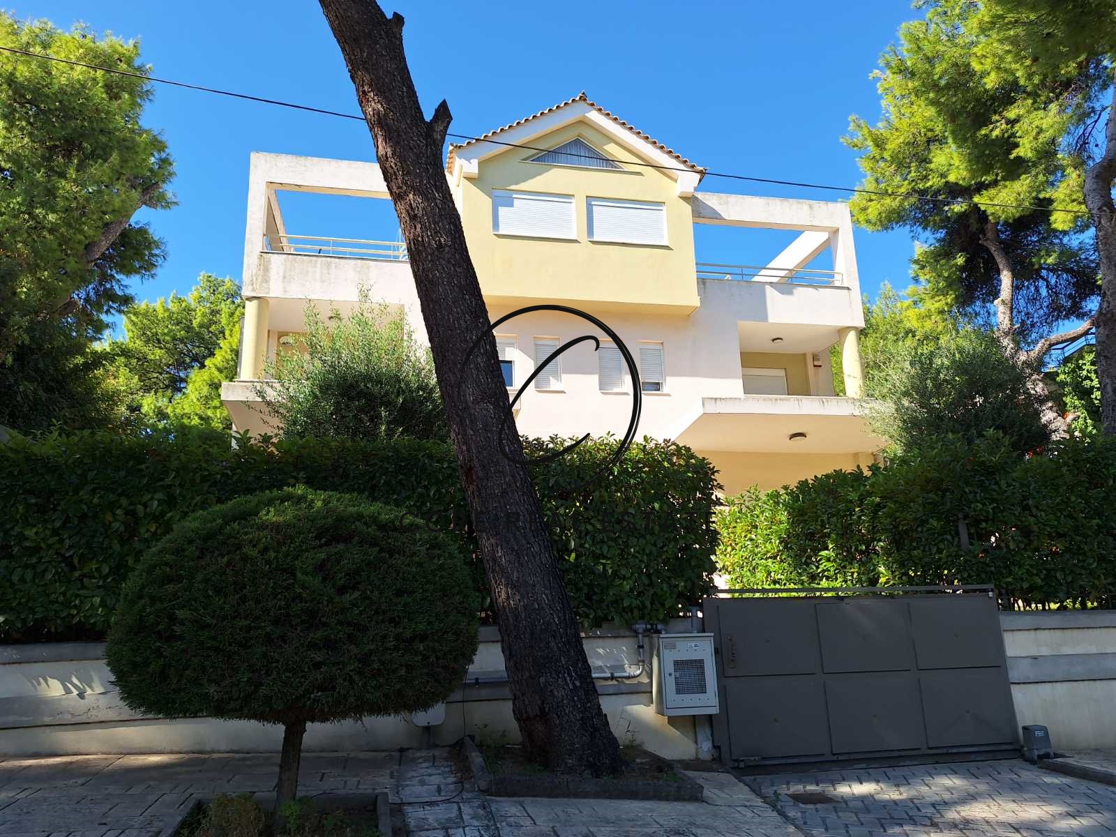 Gallery image 9
