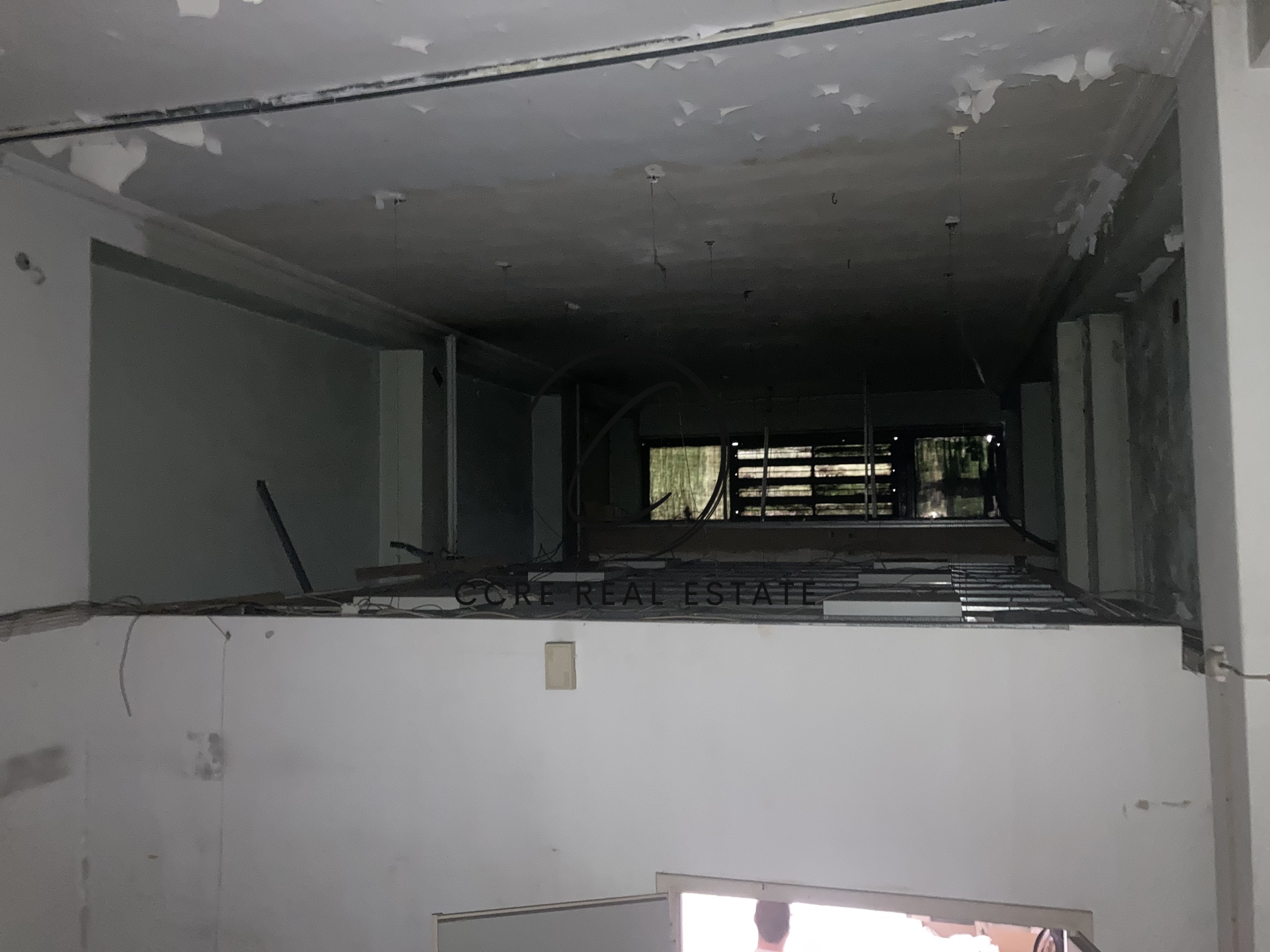 Gallery image 7