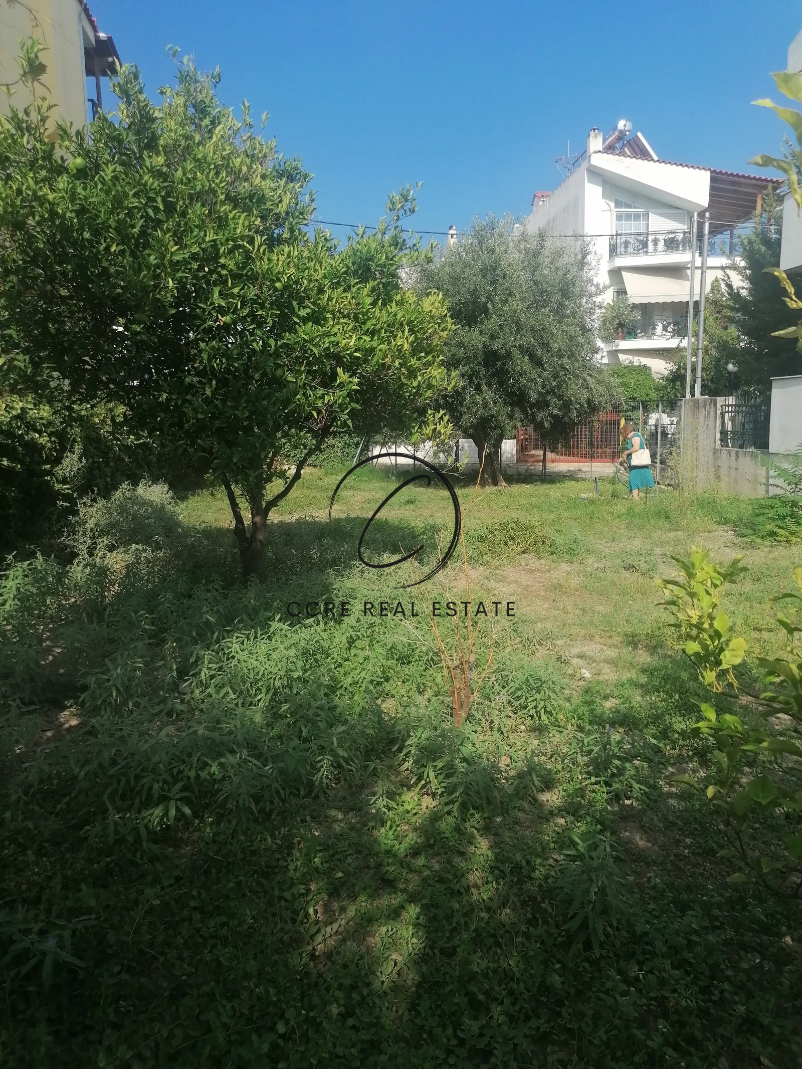Gallery image 5