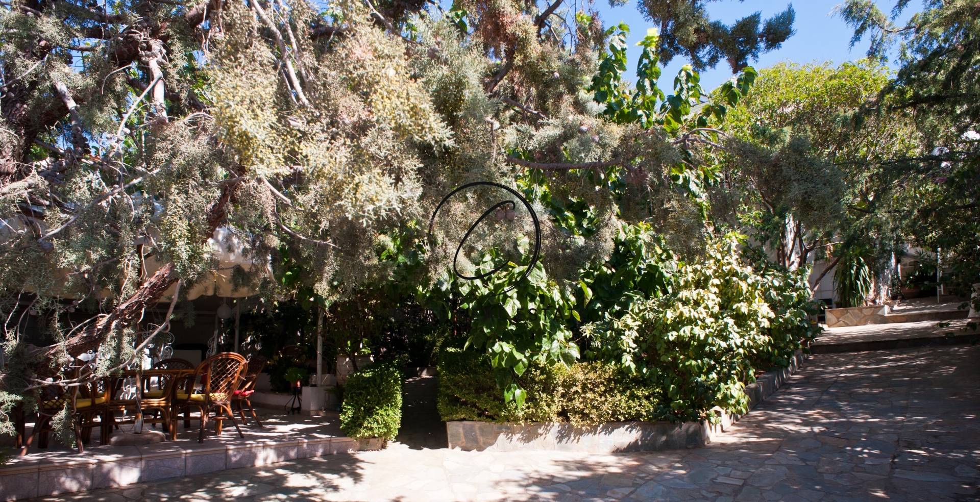 Gallery image 8