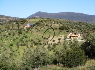 Gallery image 30