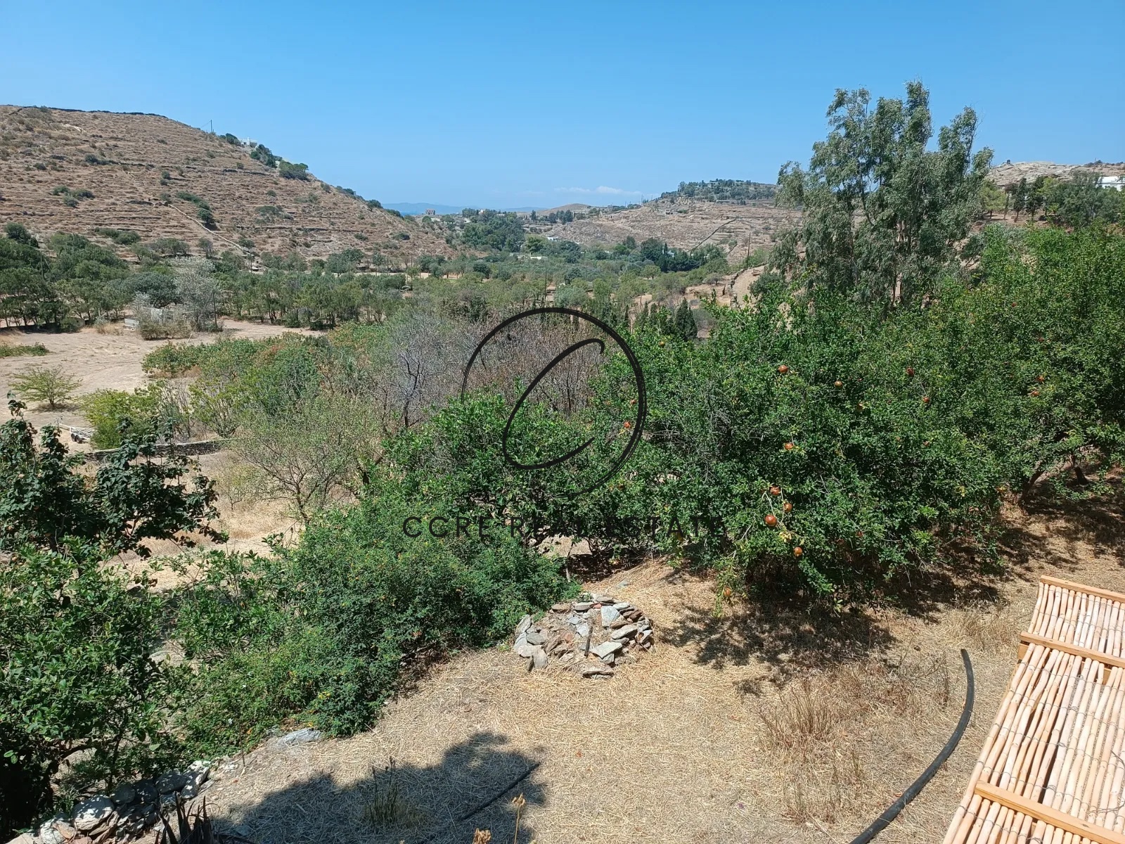 Gallery image 16