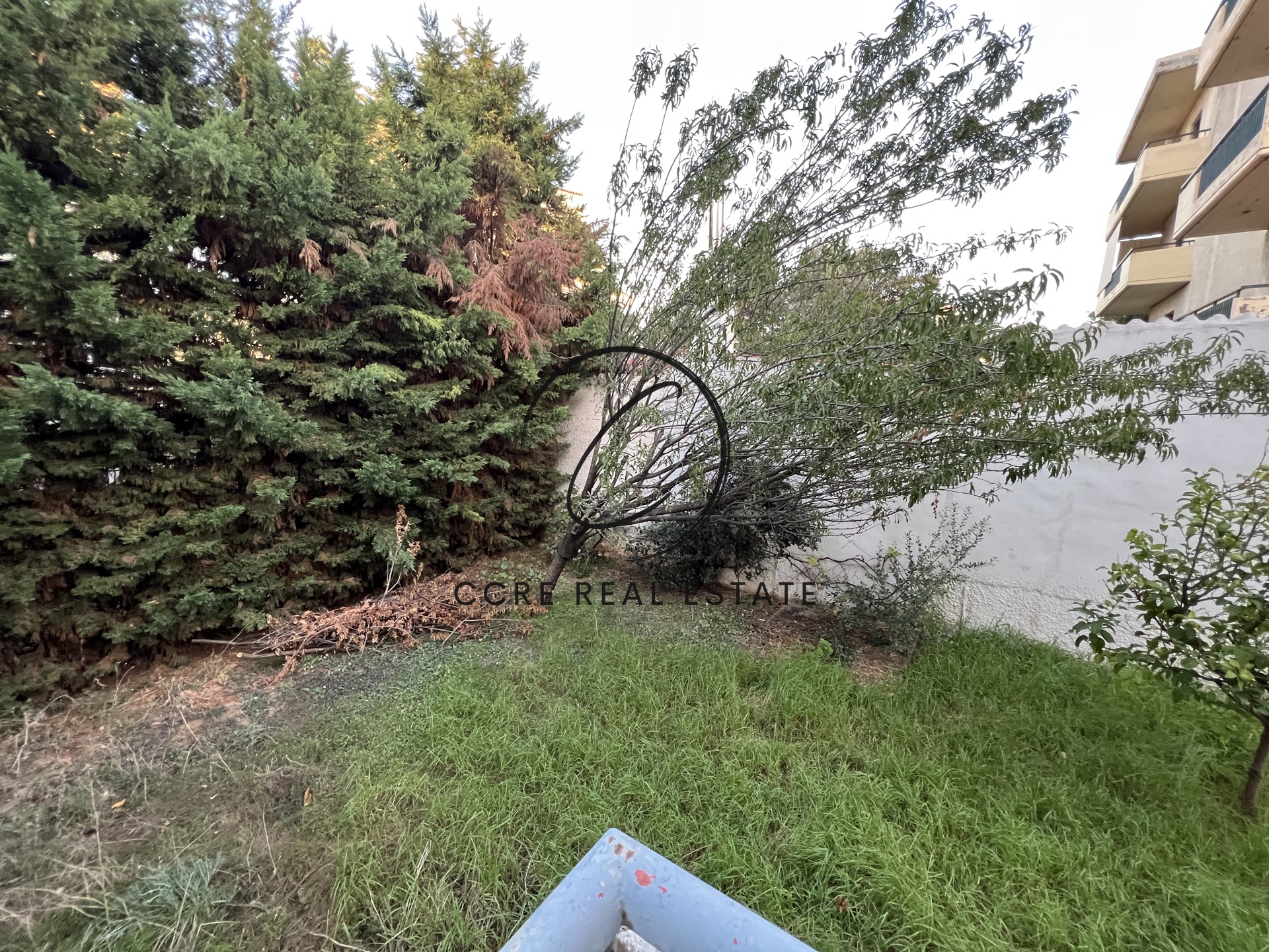 Gallery image 13