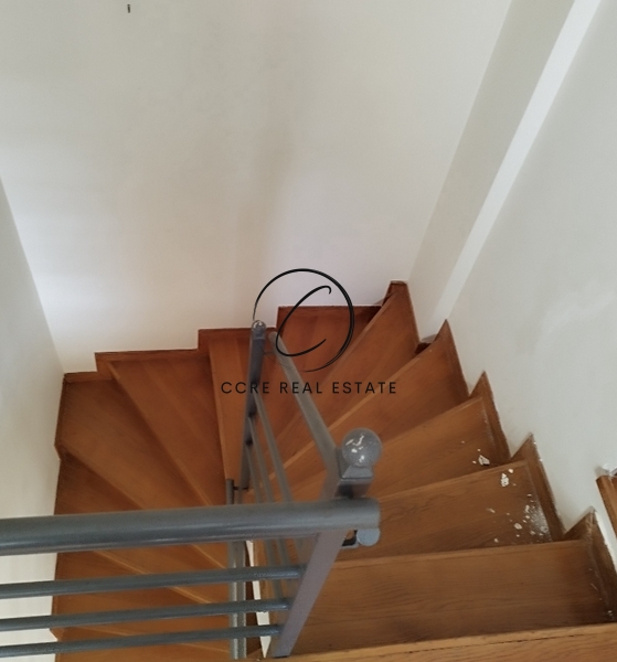 Gallery image 14