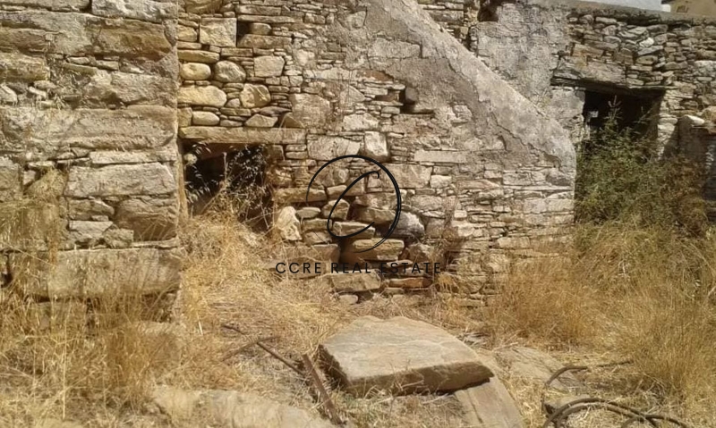 Gallery image 11
