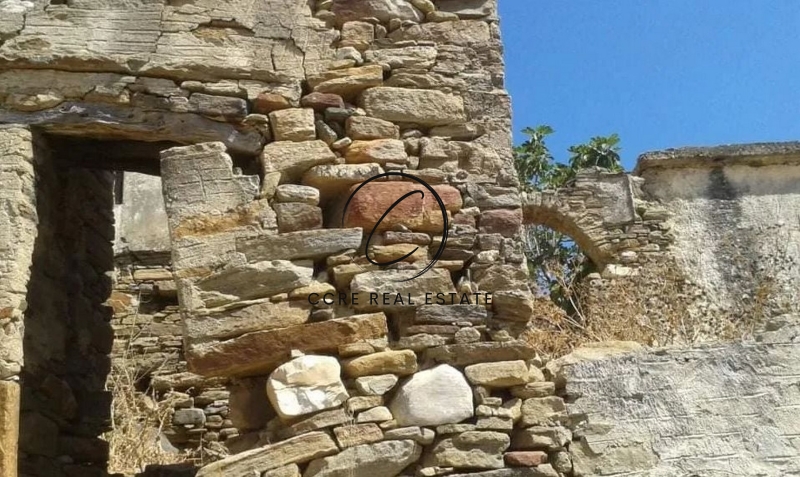Gallery image 12