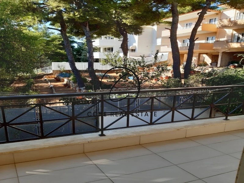 Gallery image 20
