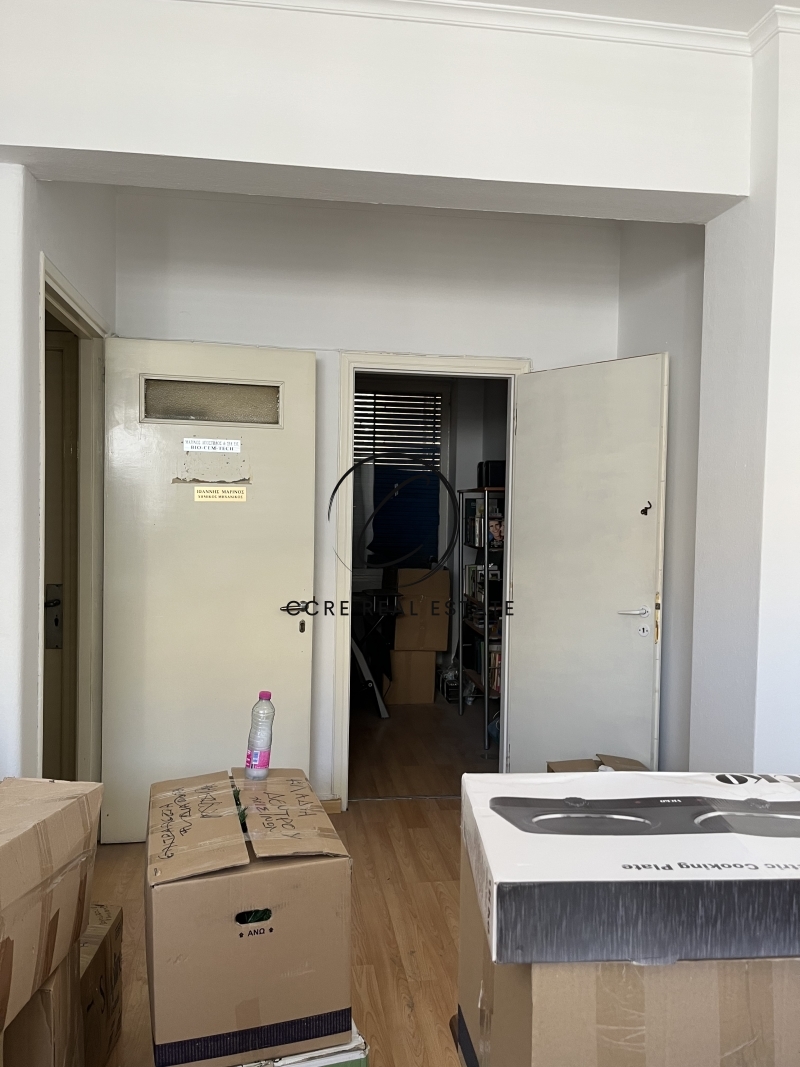 Gallery image 10