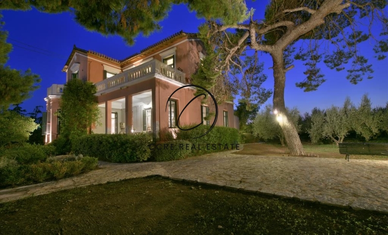 Gallery image 9