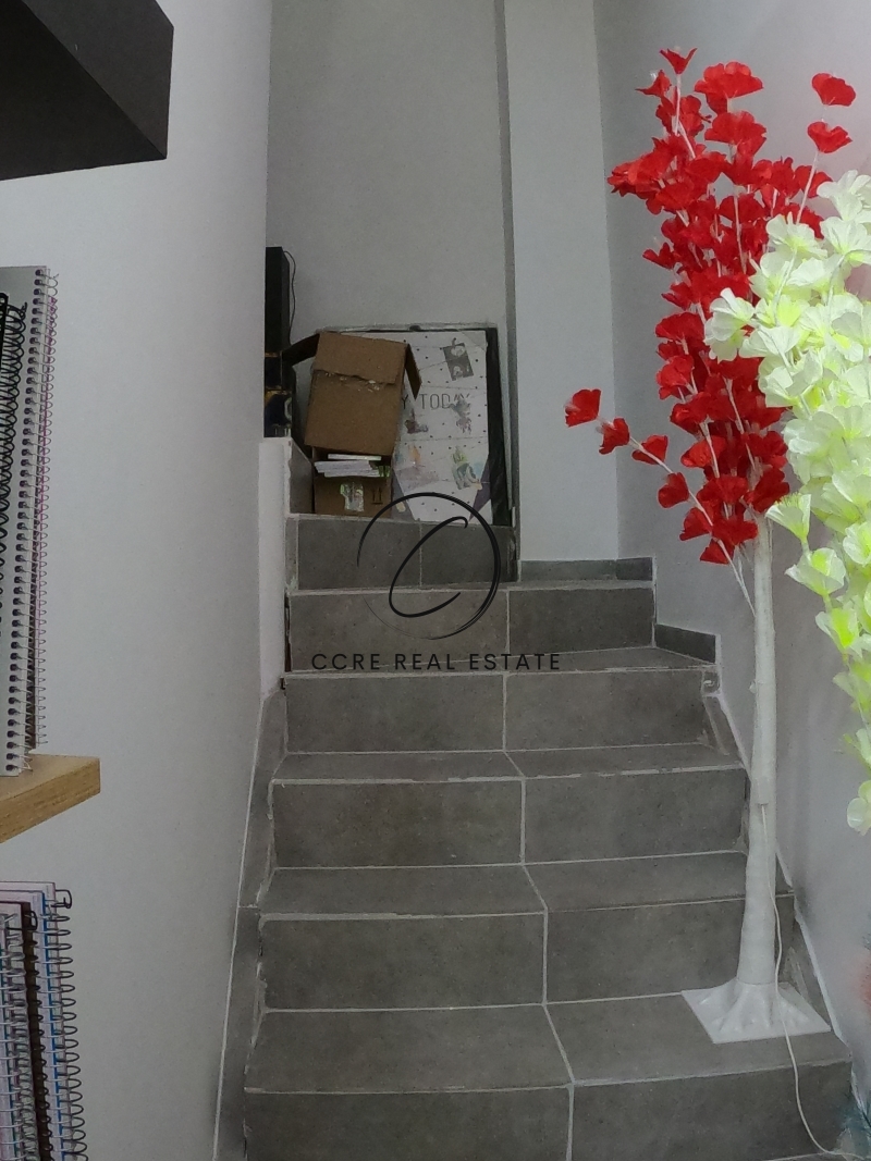 Gallery image 6