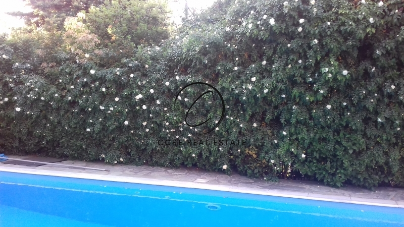 Gallery image 28