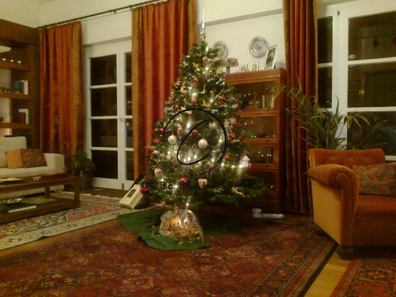 Gallery image 12