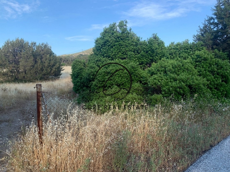 Gallery image 15