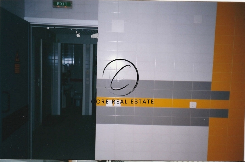 Gallery image 7