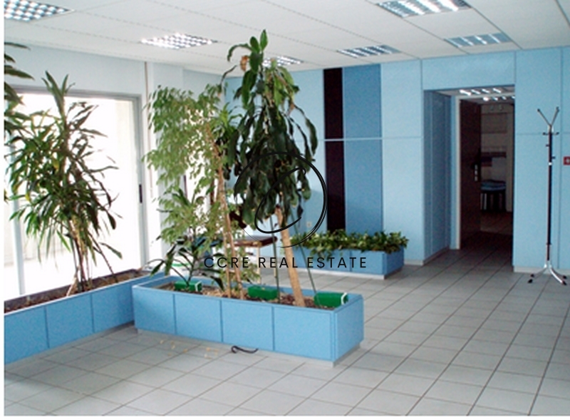 Gallery image 10