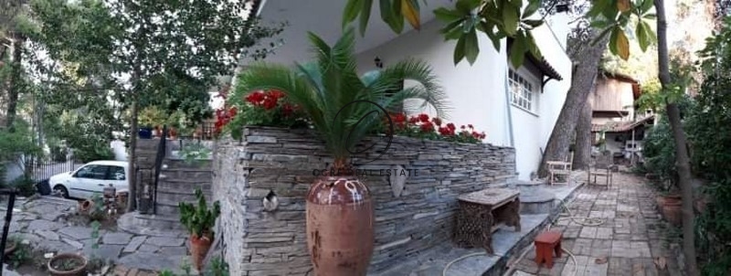Gallery image 15