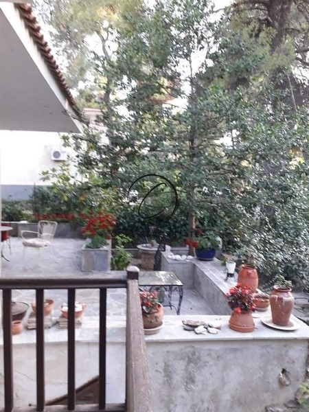 Gallery image 9