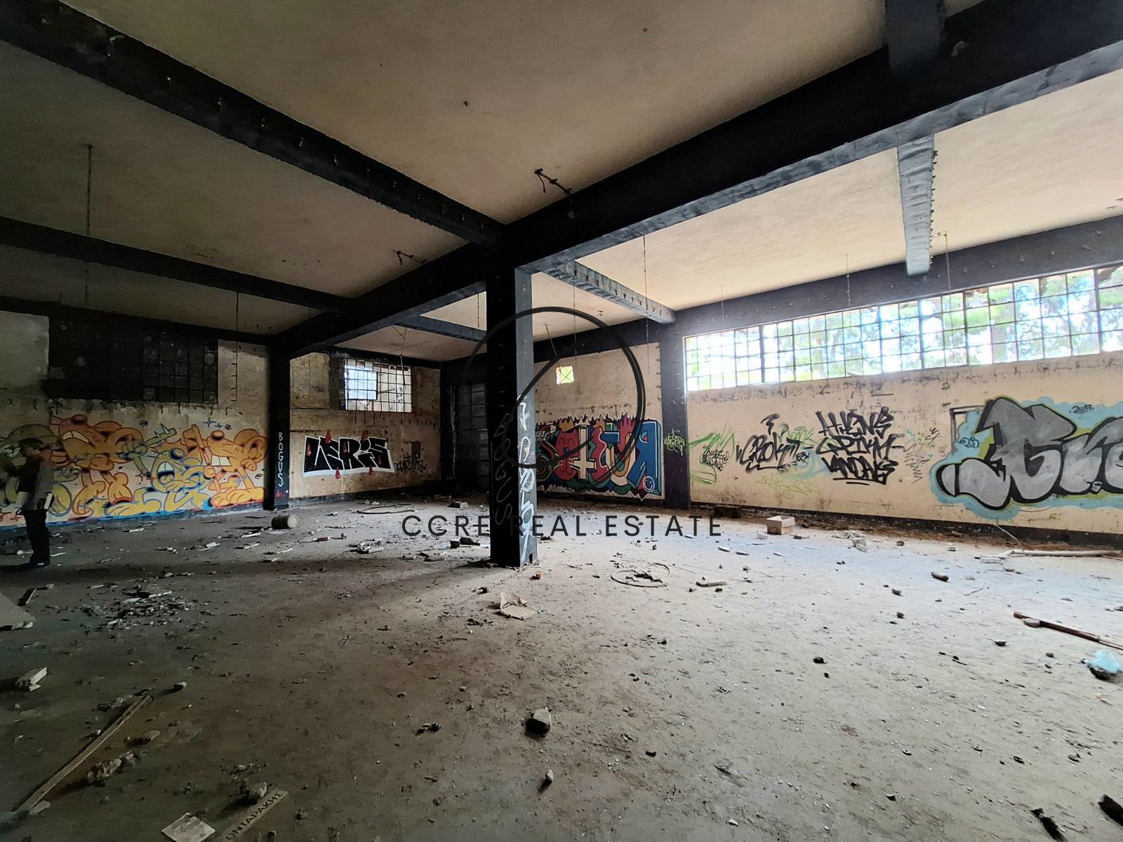 Gallery image 16