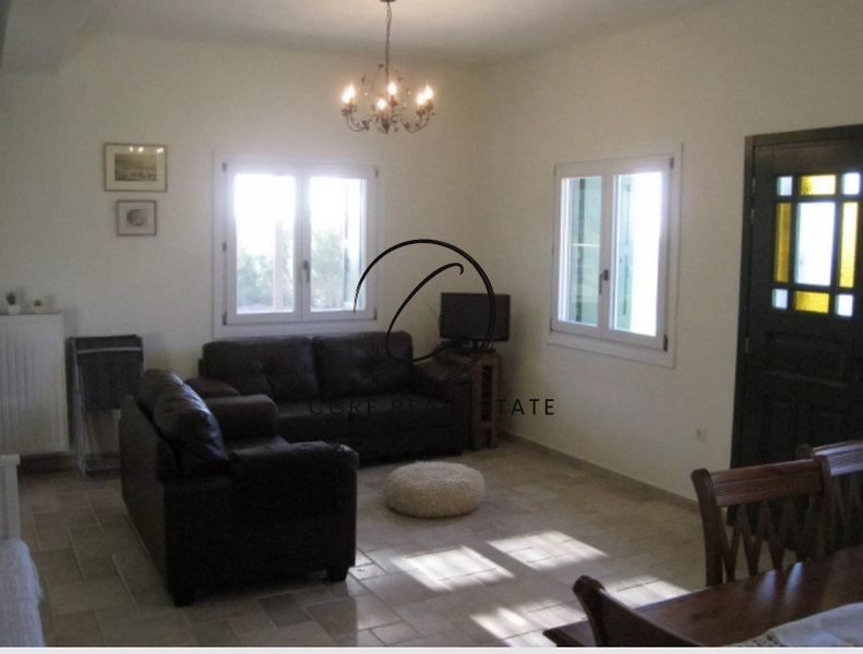 Gallery image 14