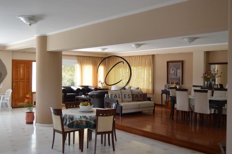 Gallery image 12