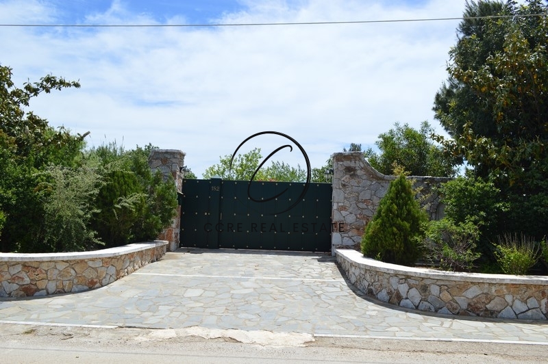 Gallery image 19