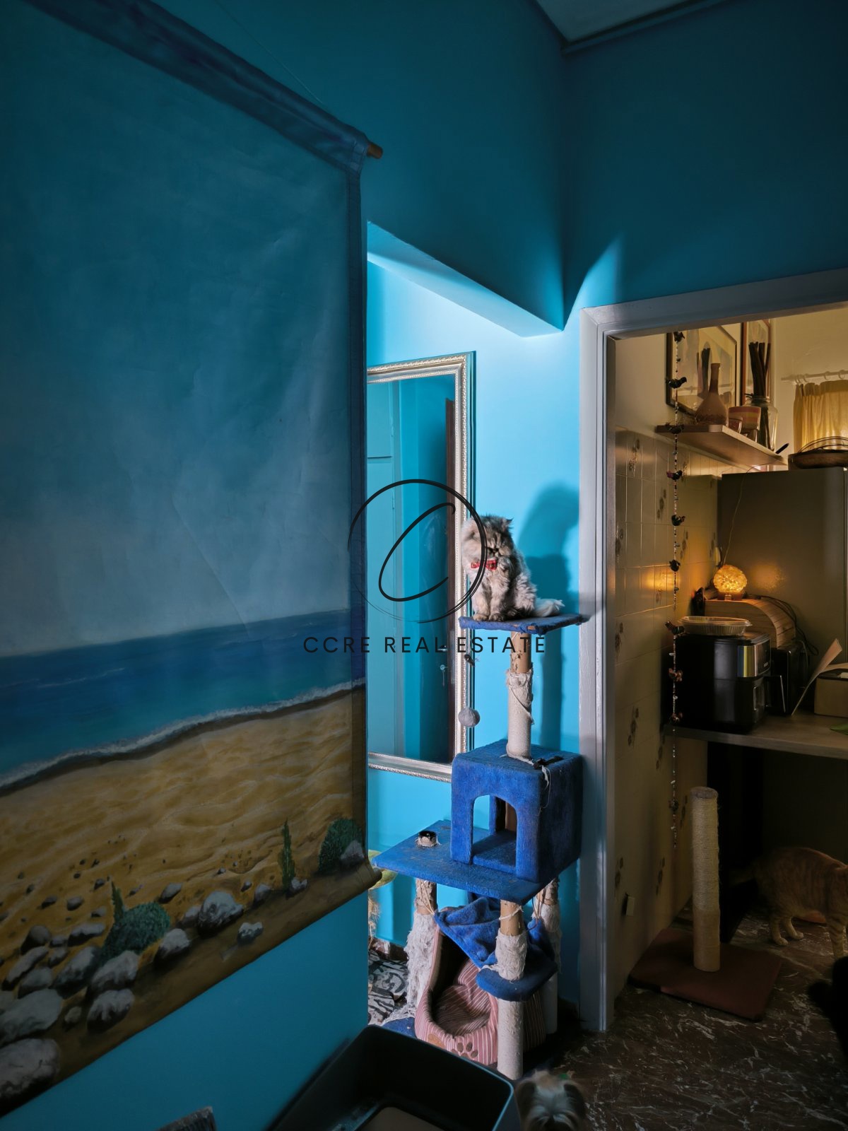 Gallery image 6
